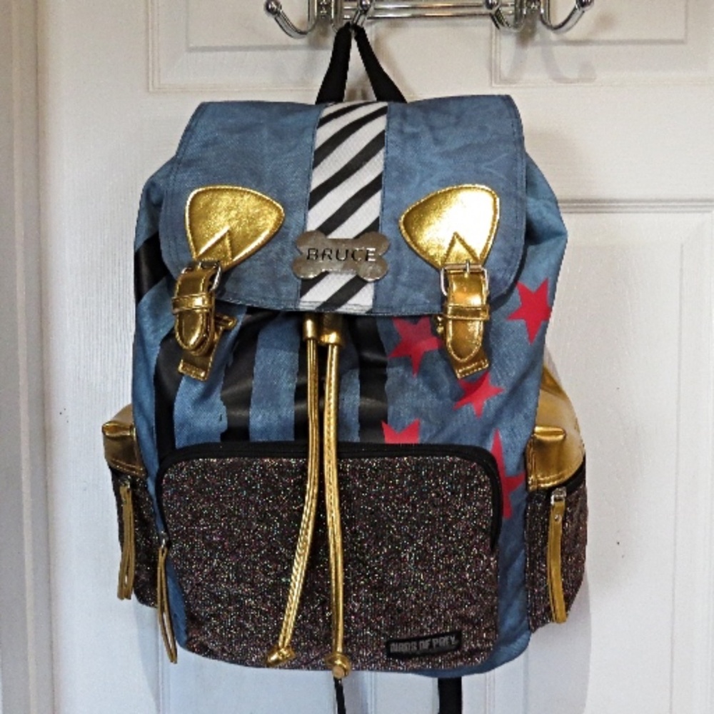 Harley Quinn LARGE BACKPACK Birds Of Prey DC Comics Rucksack Bruce Bone CAUTION
